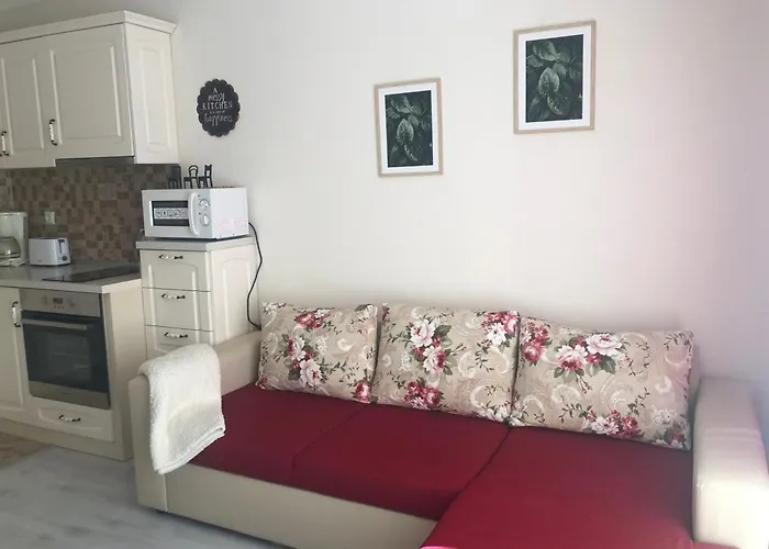 Alex Апартамент *